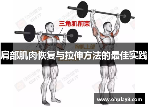 肩部肌肉恢复与拉伸方法的最佳实践